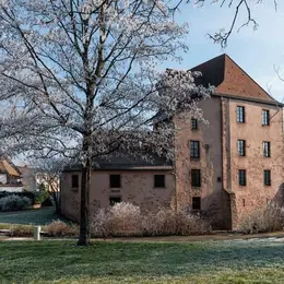 5 châteaux alsaciens et leur nouvelle vie !