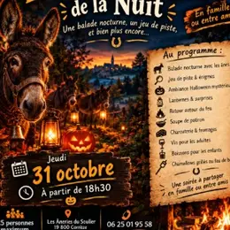 Le mystère des ânes de la nuit