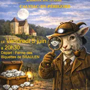 Le mystère des diamants de BRAULEN