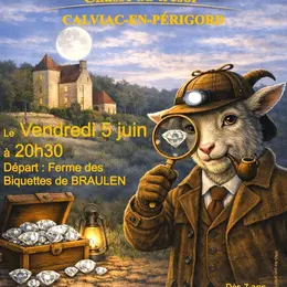 Le mystère des diamants de BRAULEN
