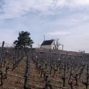 5 lieux mystérieux en Alsace