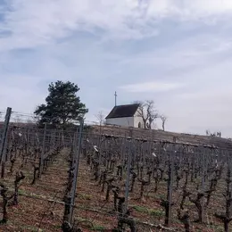 5 lieux mystérieux en Alsace