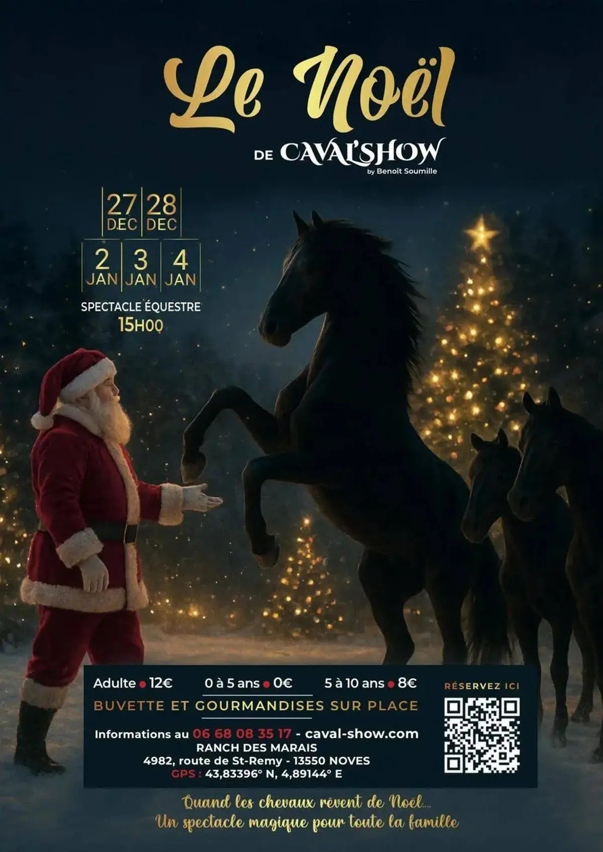 Le Noël de Caval'Show à Noves