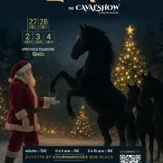 Le Noël de Caval'Show à Noves