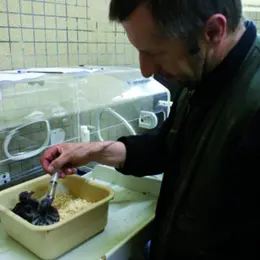 Zoo de Mulhouse : sensibiliser les jeunes à la protection des animaux
