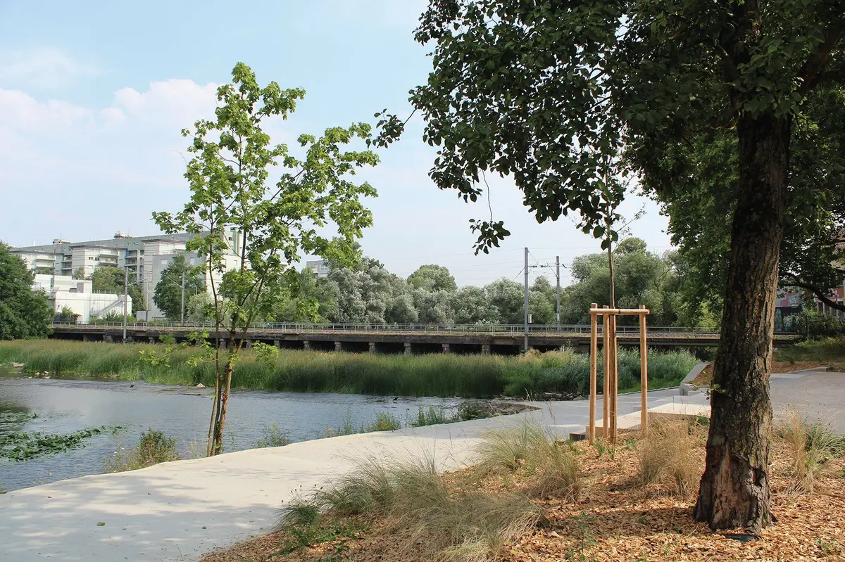 Le nouveau visage des berges de l'Ill