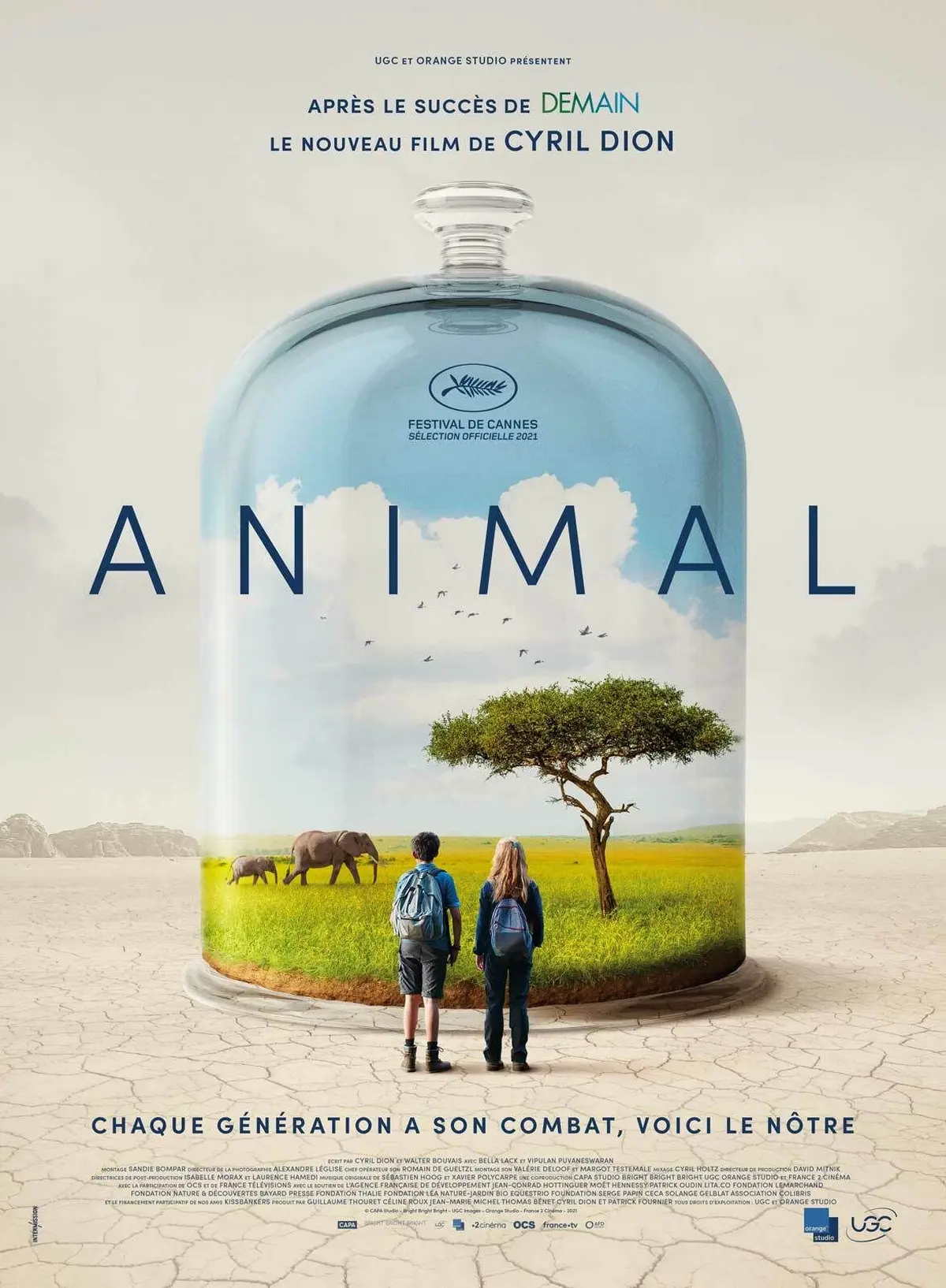 Projection du film Animal