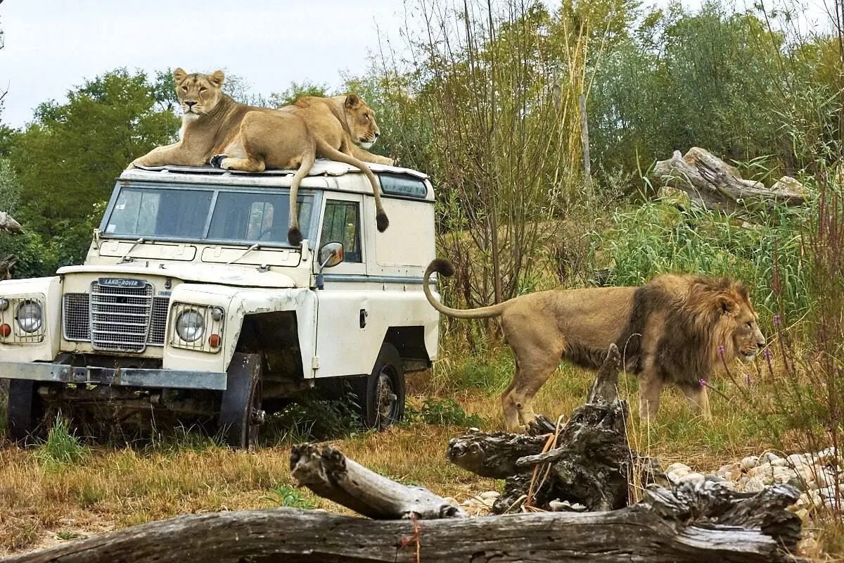 Le Pal : parc d&rsquo;attractions et parc animalier en Auvergne-Rh&ocirc;ne-Alpes