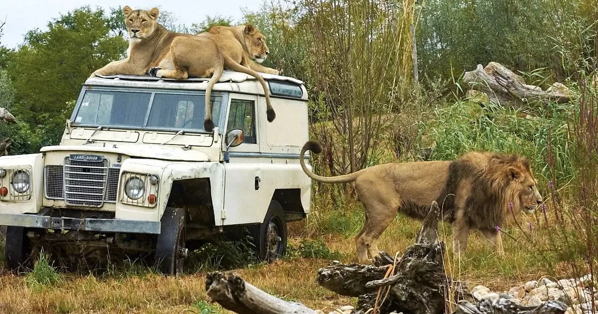 Le Pal : parc d’attractions et parc animalier en Auvergne-Rhône-Alpes
