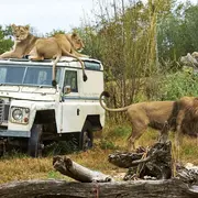 Le Pal : parc d’attractions et parc animalier en Auvergne-Rhône-Alpes