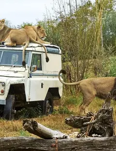 Le Pal : parc d’attractions et parc animalier en Auvergne-Rhône-Alpes