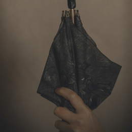 Le Parapluie de Rosa Parks : journées du matrimoine