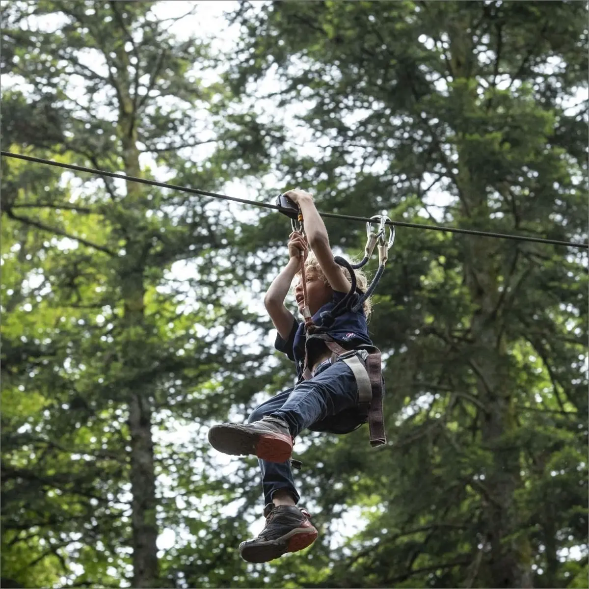 Des parcours d'accrobranches pour toutes les tailles