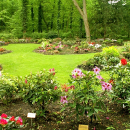 Jardin zoologique : Promenade au zoo de Mulhouse