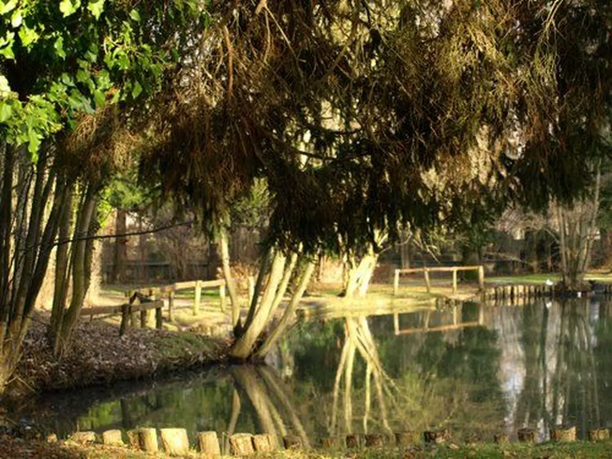 Le parc Charles de Reinach à Hirtzbach