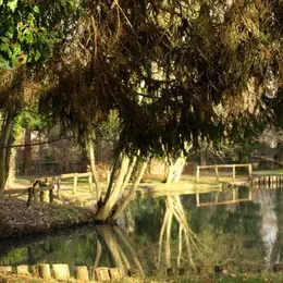 5 lieux insolites à découvrir dans le Sundgau