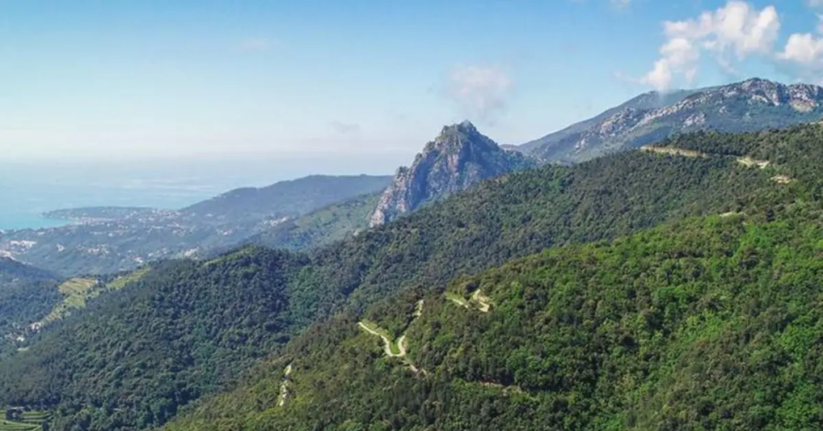 Le parc de l'Ubac Foran à Menton : randonnée et nature entre mer et montagne