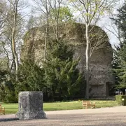 Le parc du Domaine Royal : le joyau aux deux visages