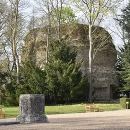 Le parc du Domaine Royal : le joyau aux deux visages