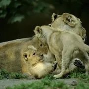 4 idées de sorties pour voir des animaux en Alsace