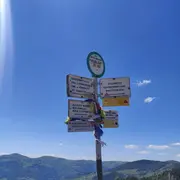 5 sommets vosgiens à (re)découvrir cet été !