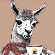 Le petit-déj des lamas chez Lama Émoi