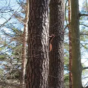 Le petit et grand Hohnack