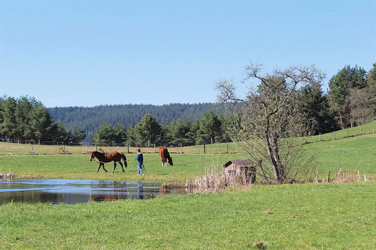 Le lieu dit Giragoutte