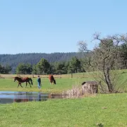 Le petit et grand Hohnack