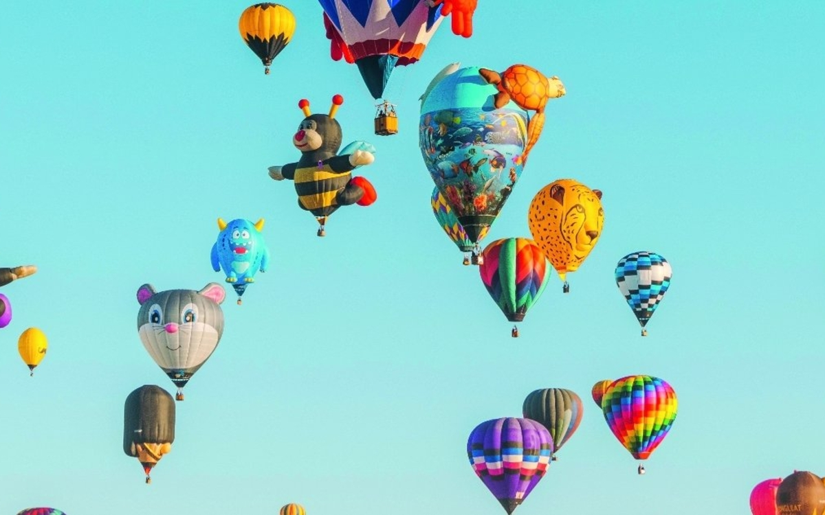 Petit Grand Festival