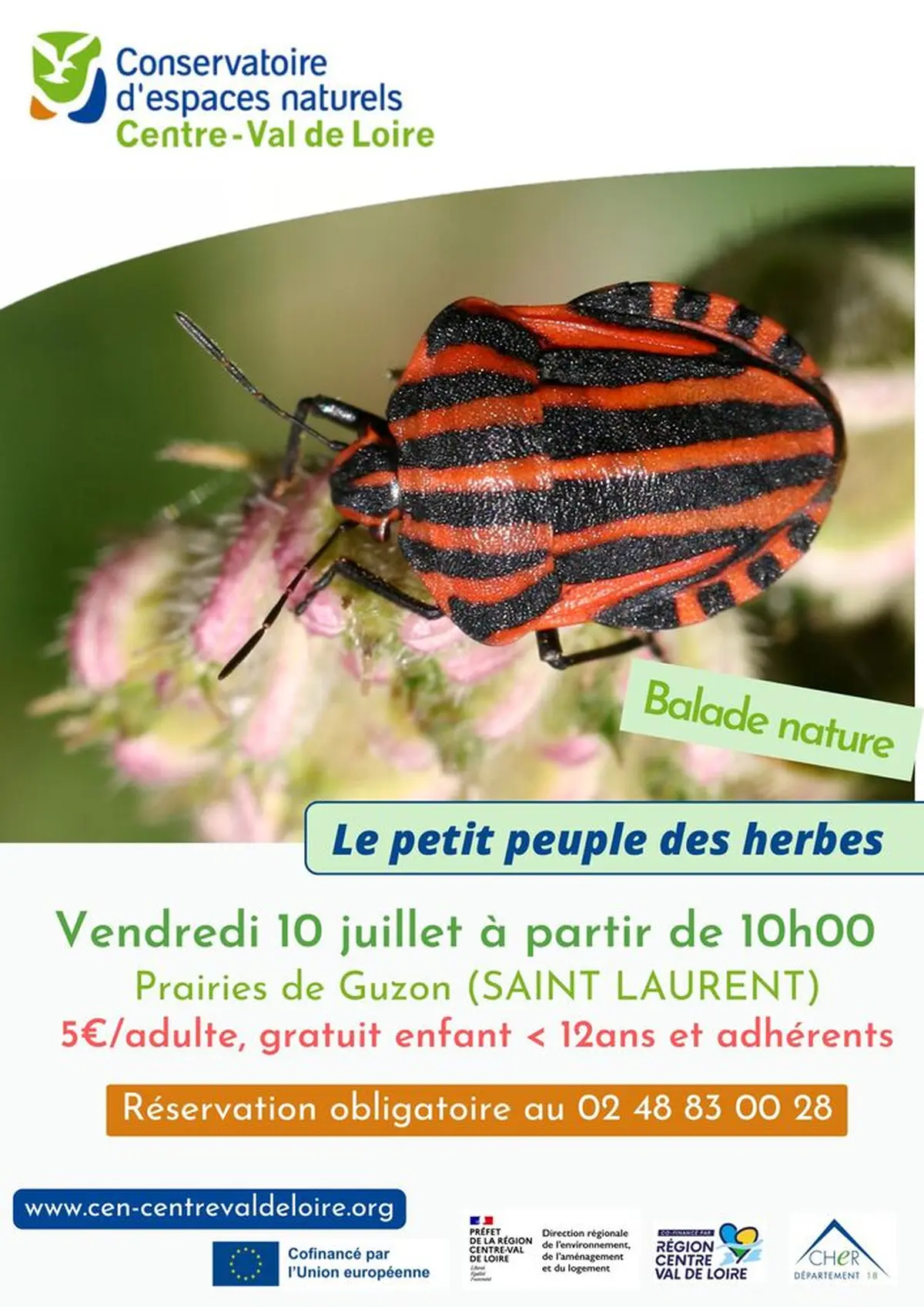 Le petit peuple des herbes