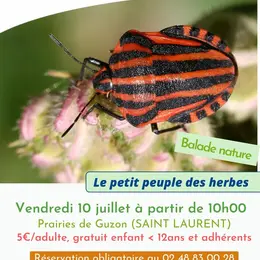 Le petit peuple des herbes