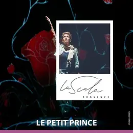 Le petit prince