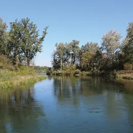 L'île du Rhin
