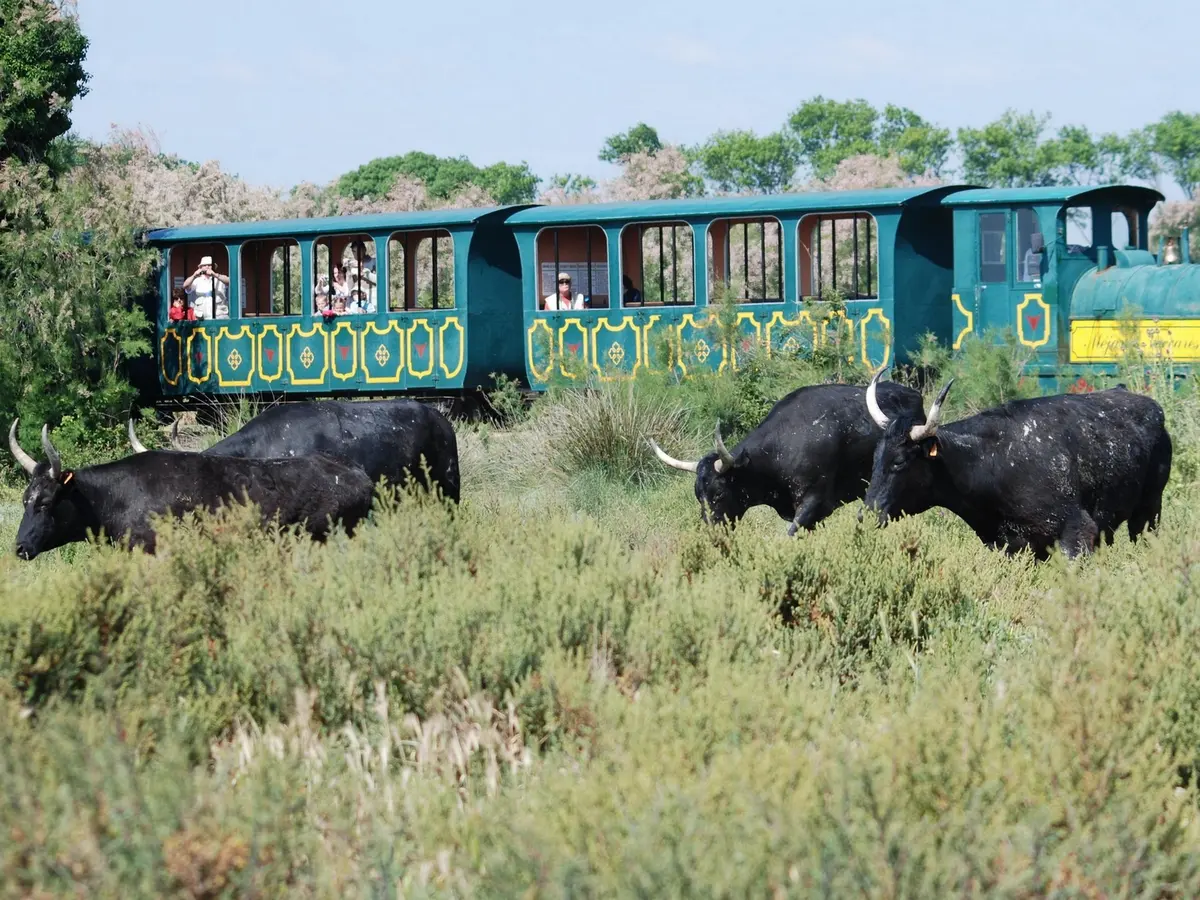 Le Petit train de Méjanes