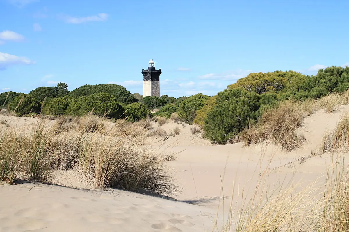 Phare de l'Espiguette