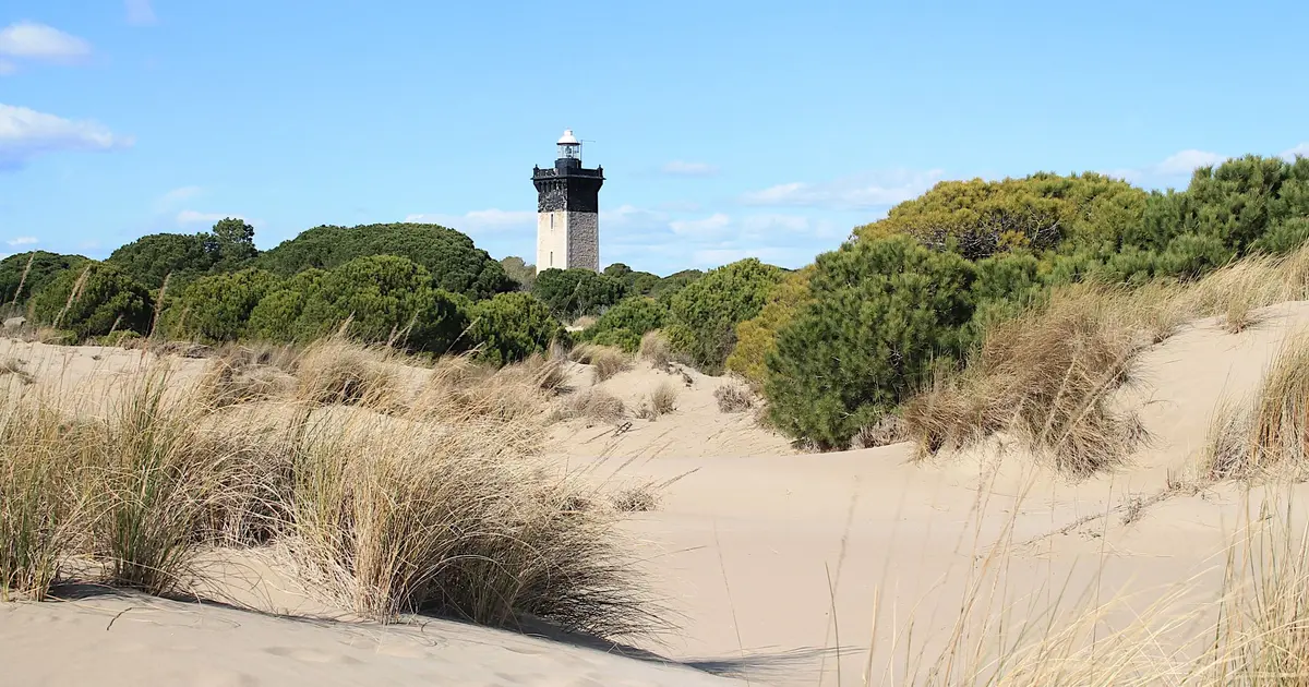 Phare de l'Espiguette