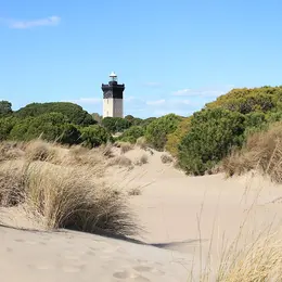 Le phare de l’Espiguette : une tour noire au milieu d’un désert de dunes