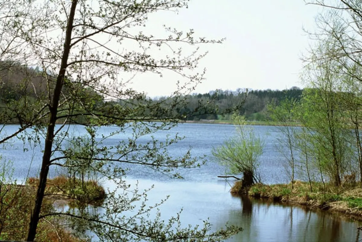 Le plan d'eau de Reichshoffen dans un écrin de verdure