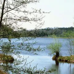 Plan d'eau de Reichshoffen