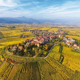 Le vignoble haut-rhinois en automne