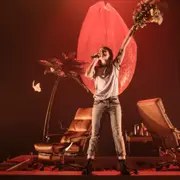 Le poids des fourmis