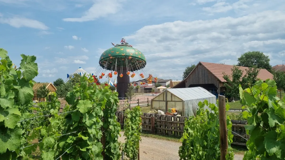 Le Pommier, la nouveauté 2025 de Cigoland !