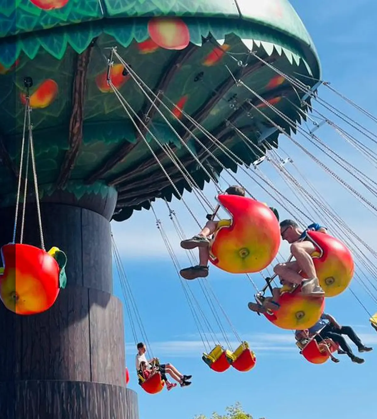 La nouvelle attraction de Cigoland !