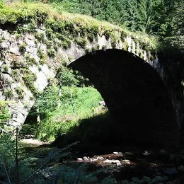 5 lieux à voir à Gérardmer