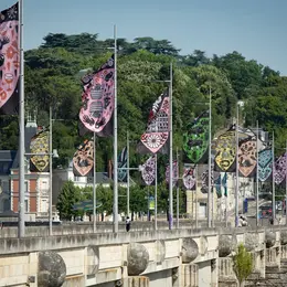 Le pont Wilson affiche  les couleurs de la Touraine