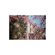 Le printemps c'est maintenant !