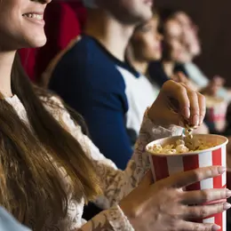 Le Printemps du Cinéma 2027
