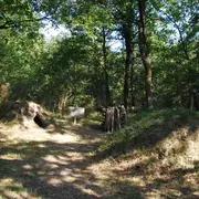 Le printemps se raconte