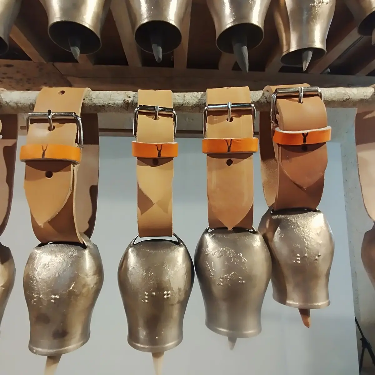 Le projet Museoa Urtu